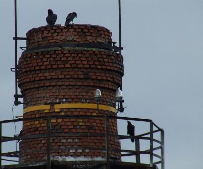 Прикрепленное изображение: gg1.jpg